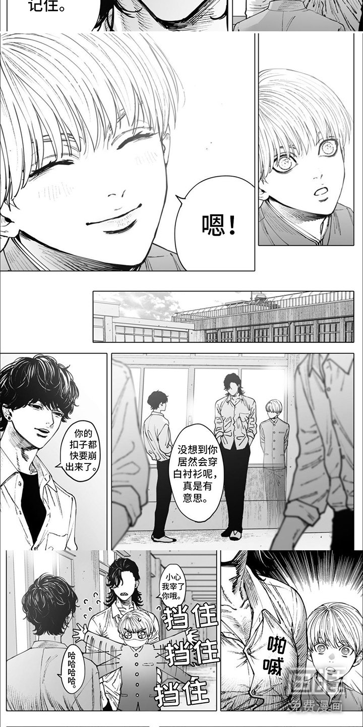 第11章：夏装