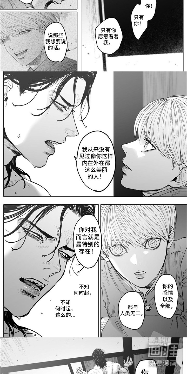 第14章：传达想法