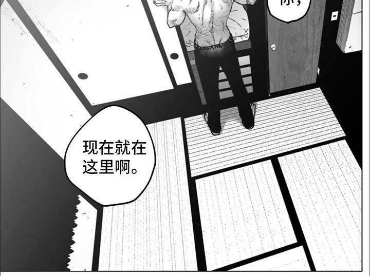 第14章：传达想法