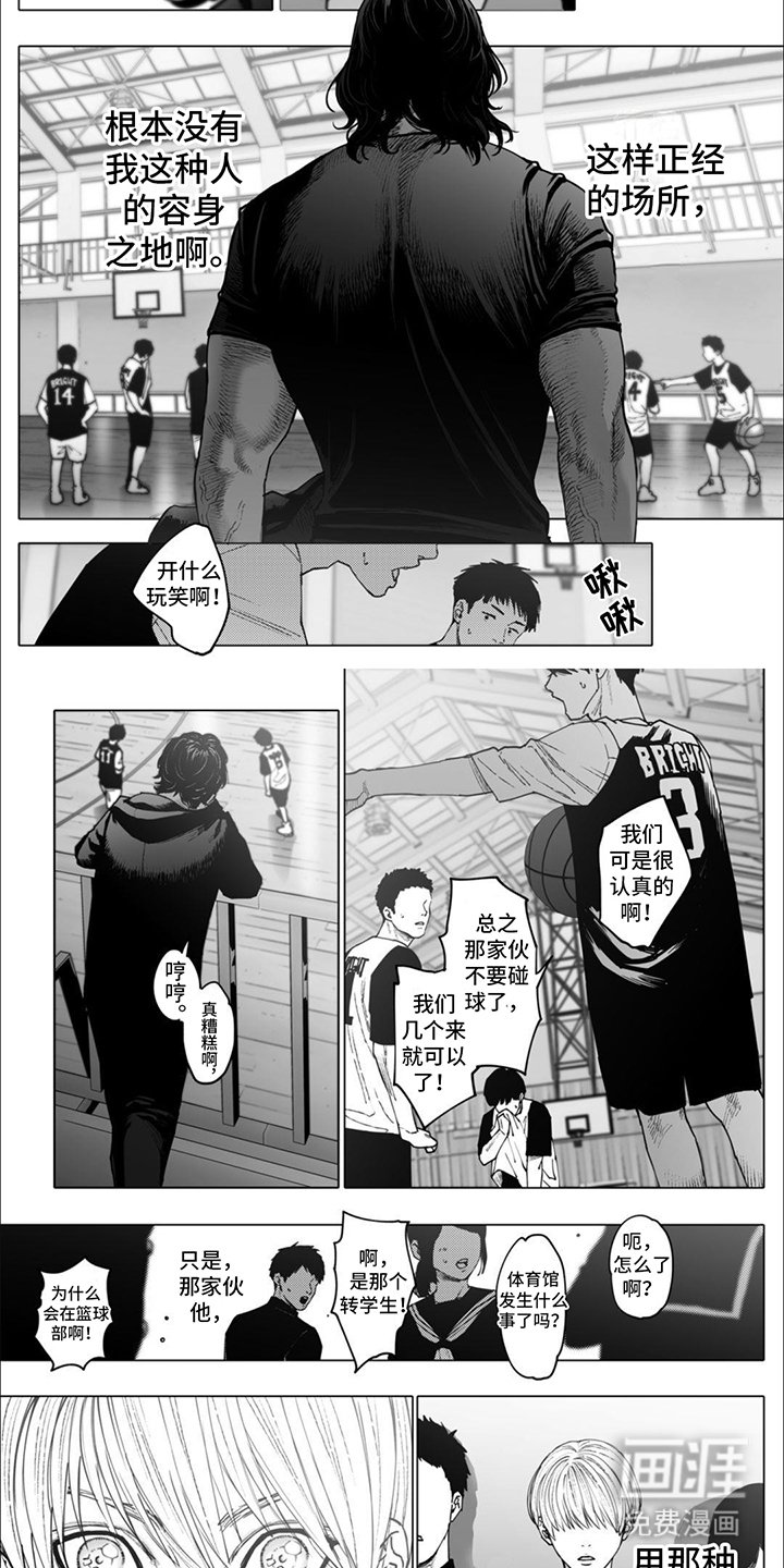 第5章：打篮球