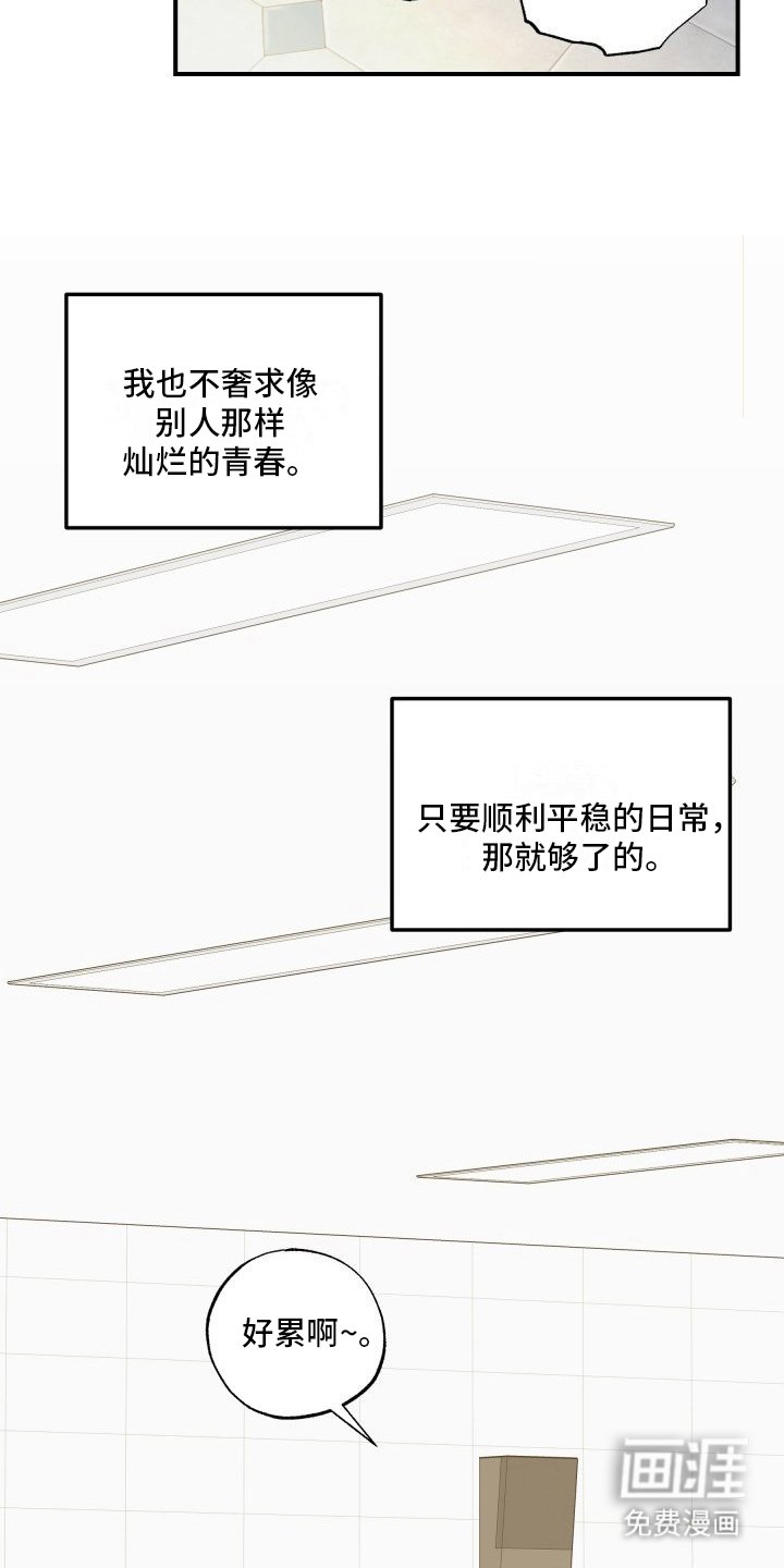 第4章：故意针对