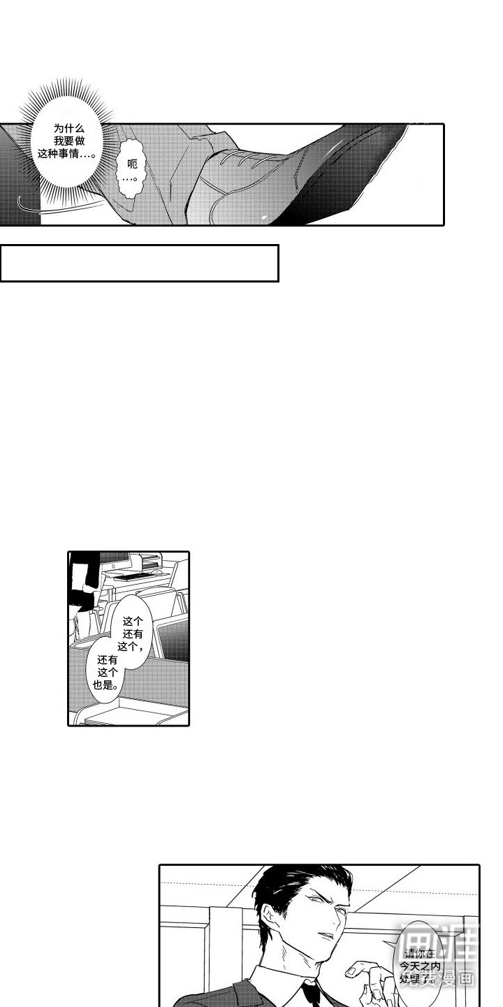 第4章：新视频