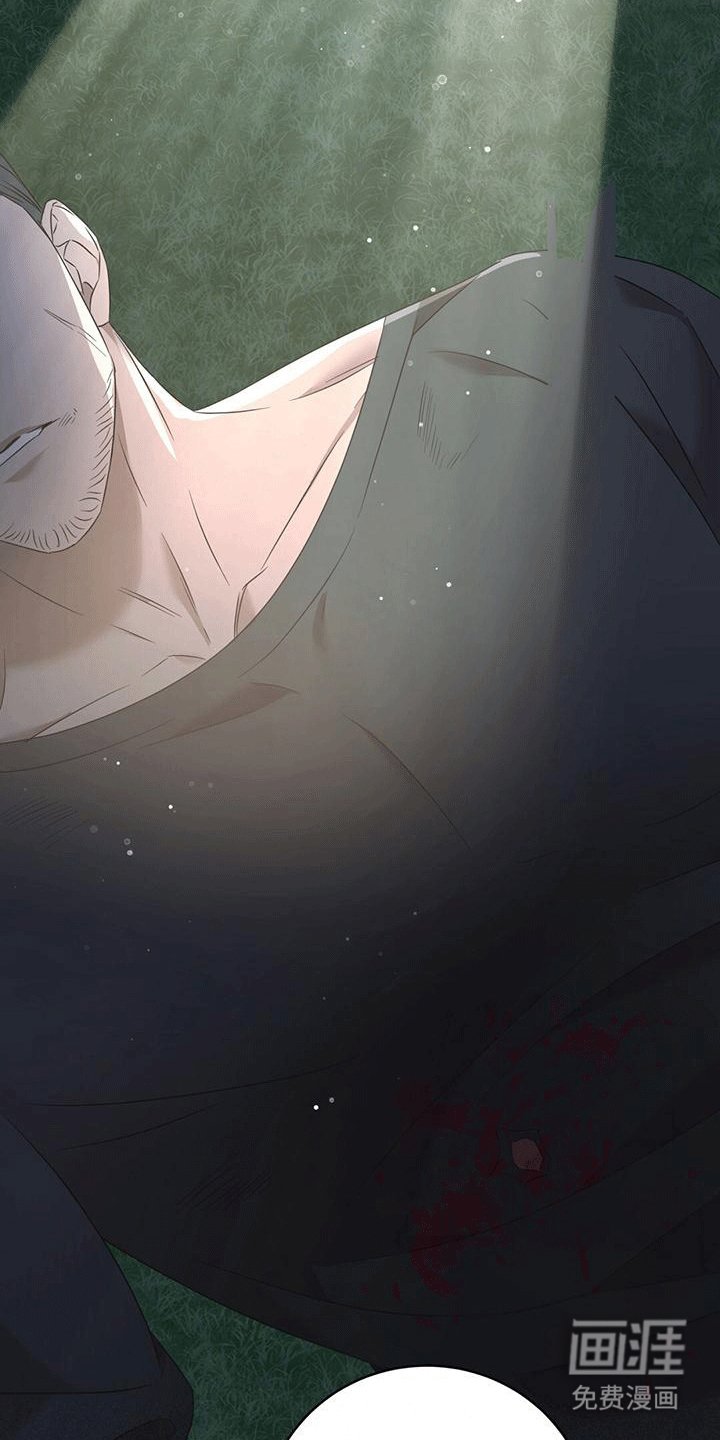 第15章：庇护