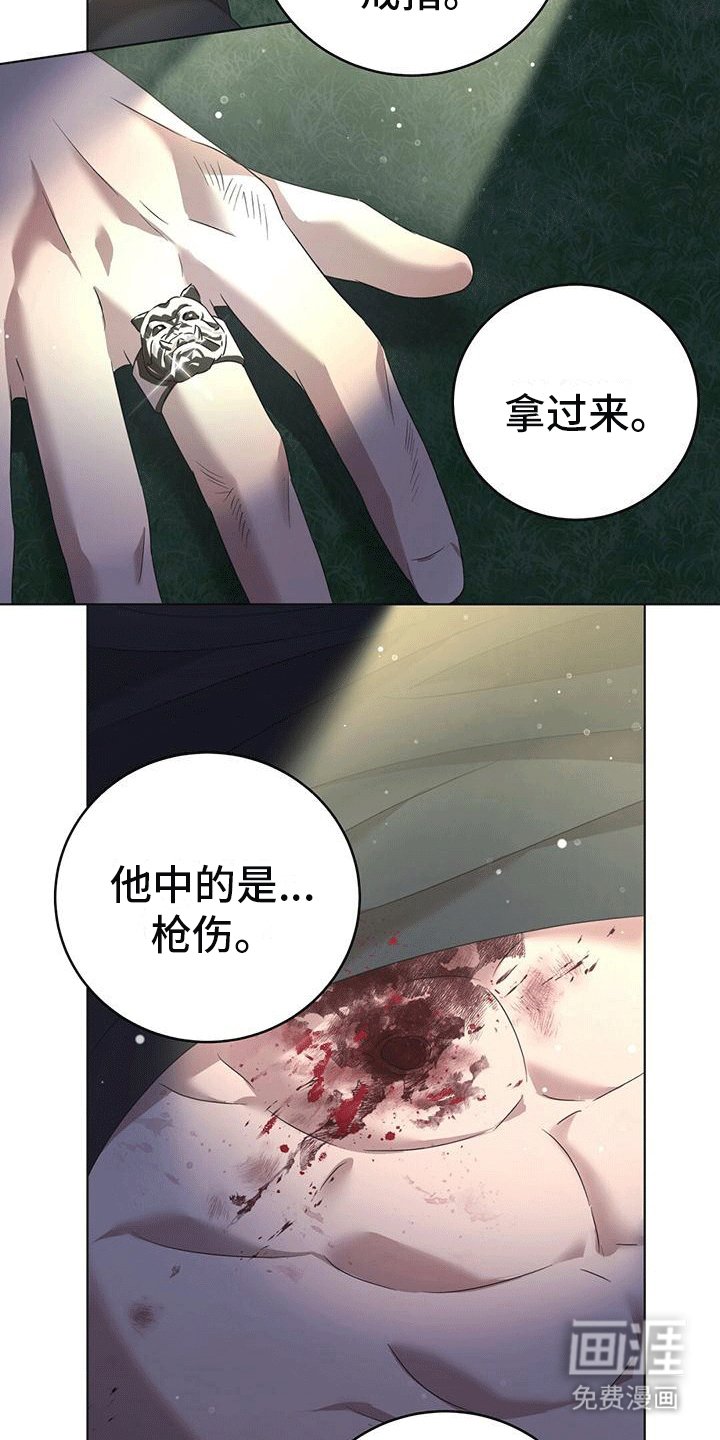 第15章：庇护