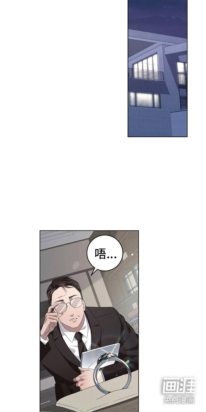 第15章：庇护