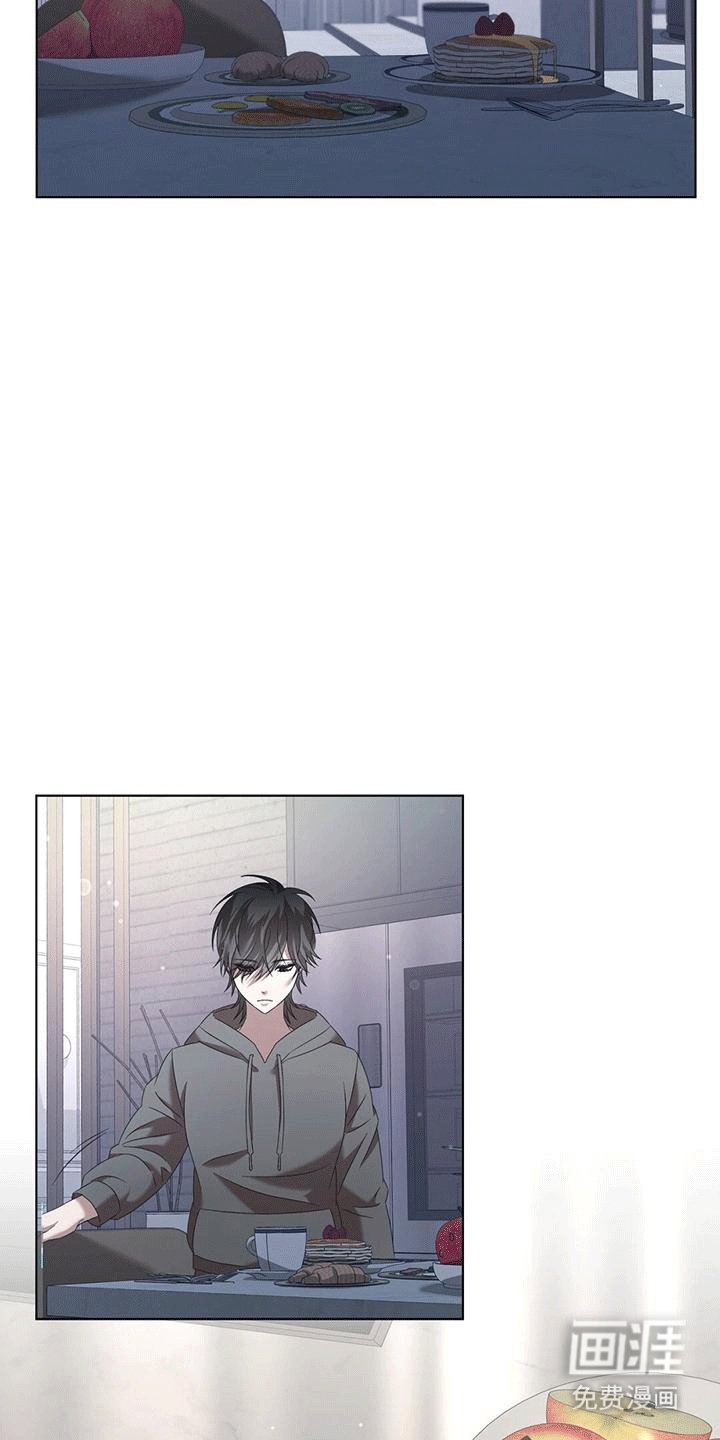 第15章：庇护