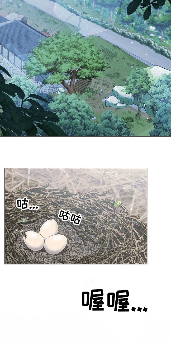 第2章：乡下