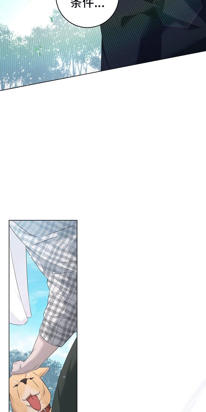 第3章：土地主人