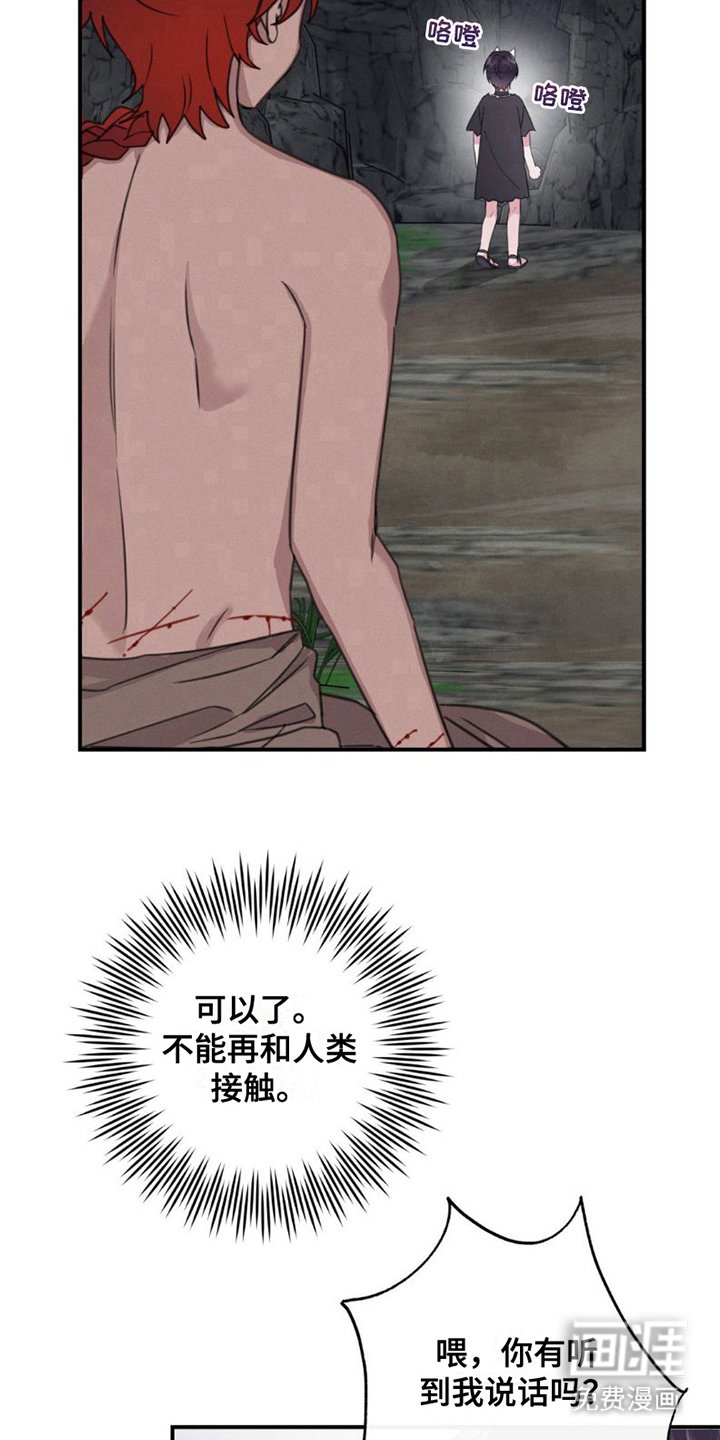 第7章：眼睛