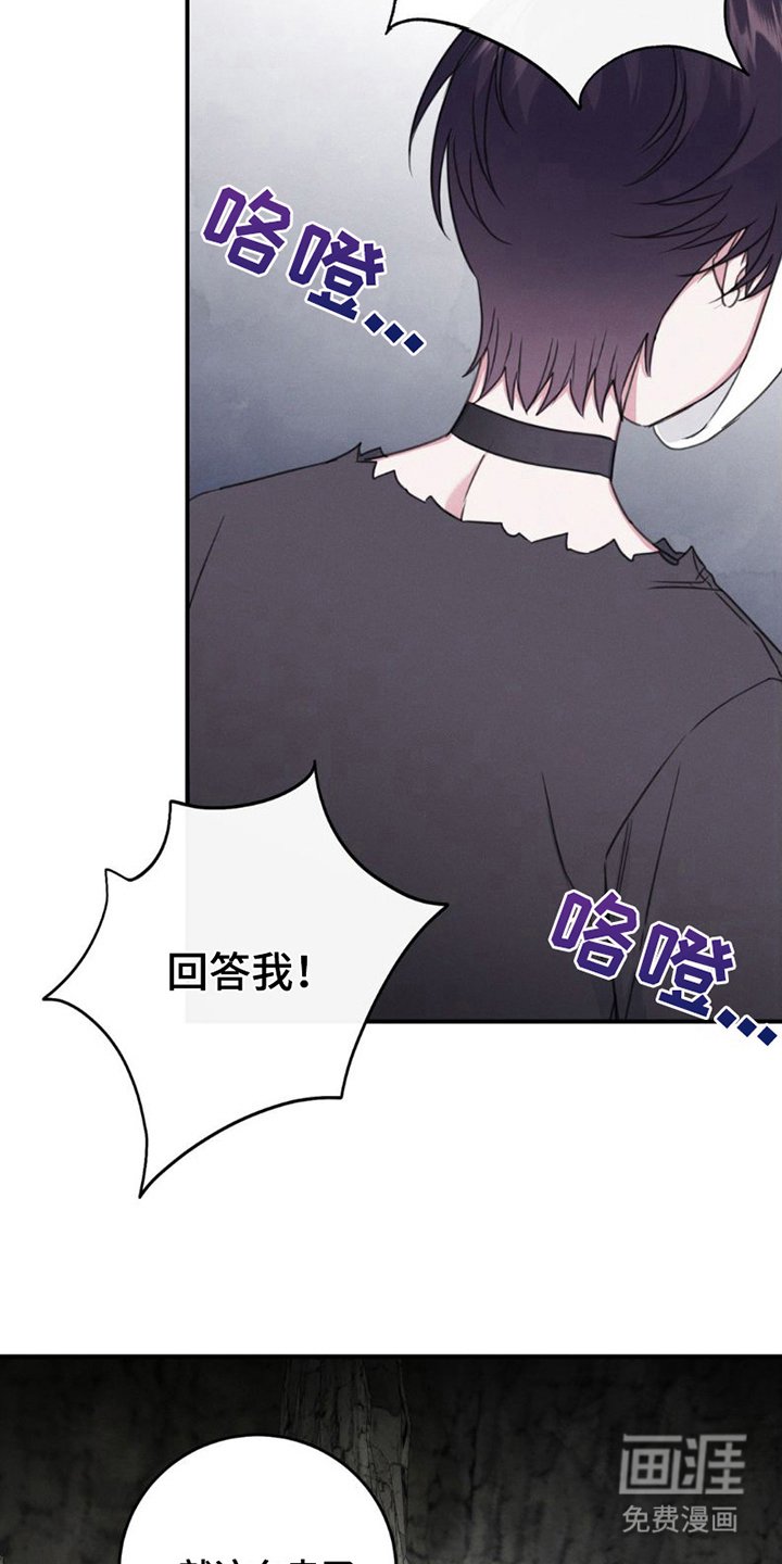 第7章：眼睛