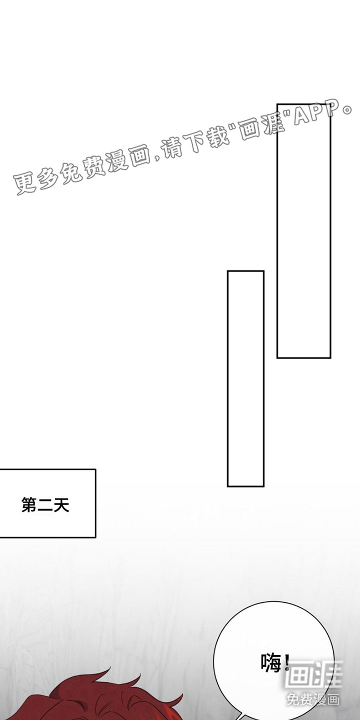 第8章：很好看