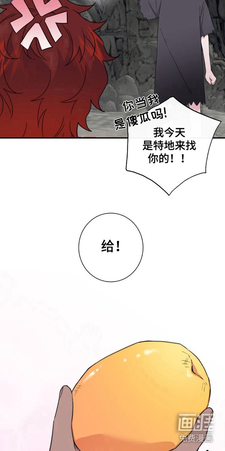 第8章：很好看
