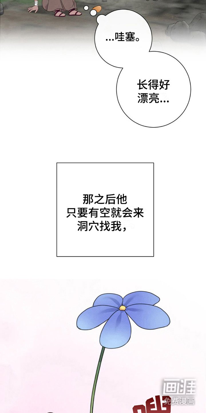 第8章：很好看