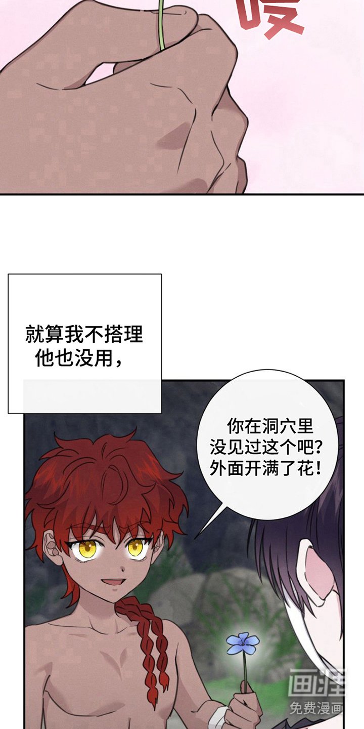 第8章：很好看