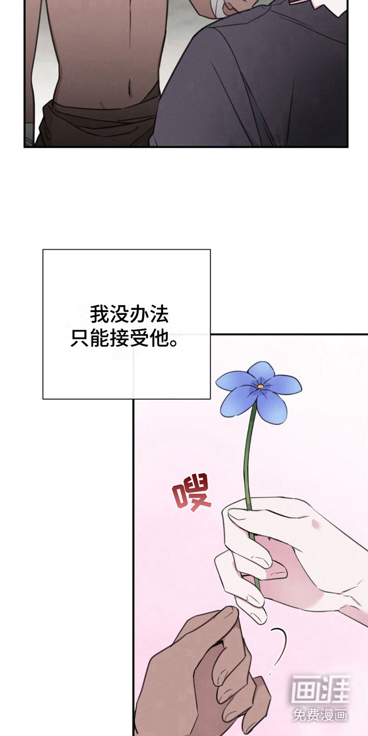 第8章：很好看