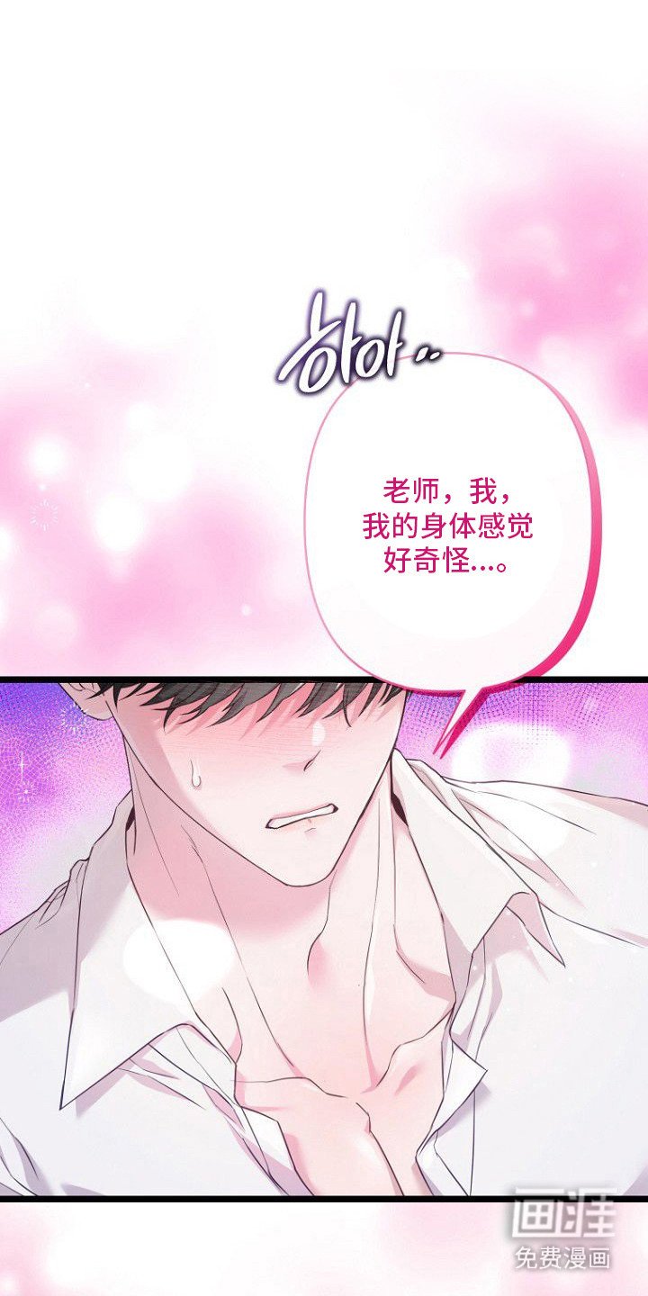 第1章：偷懒摸鱼