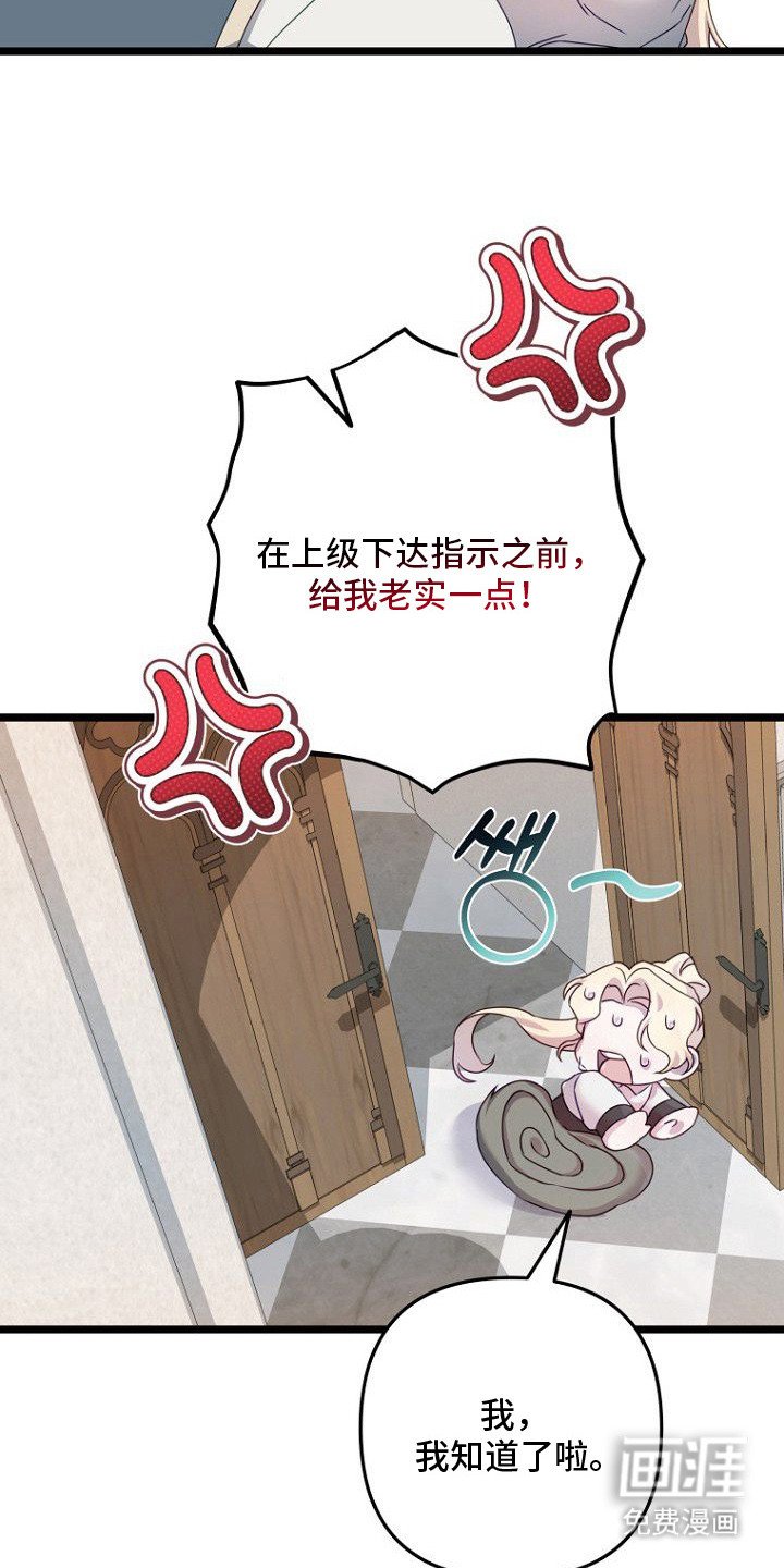 第12章：包庇