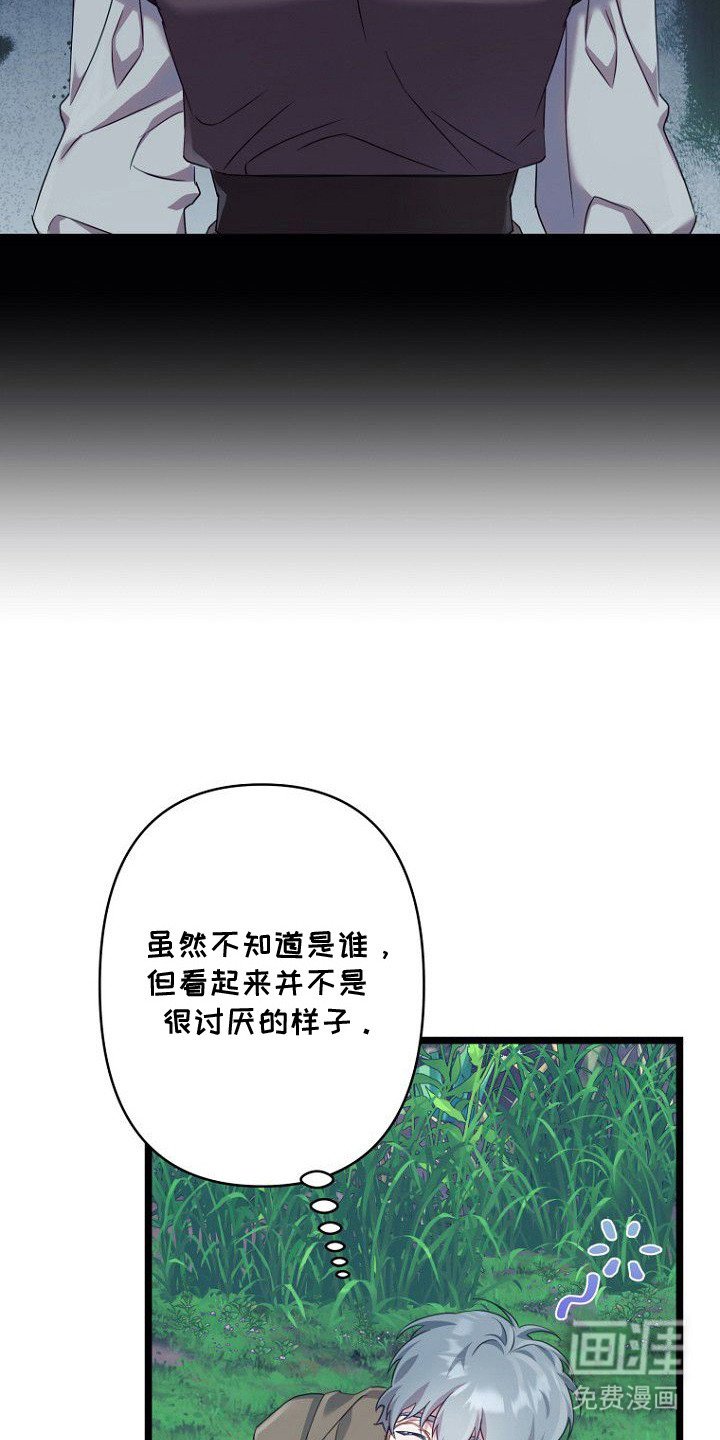 第5章：任务