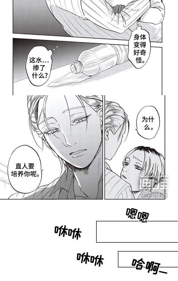 第12章：打算