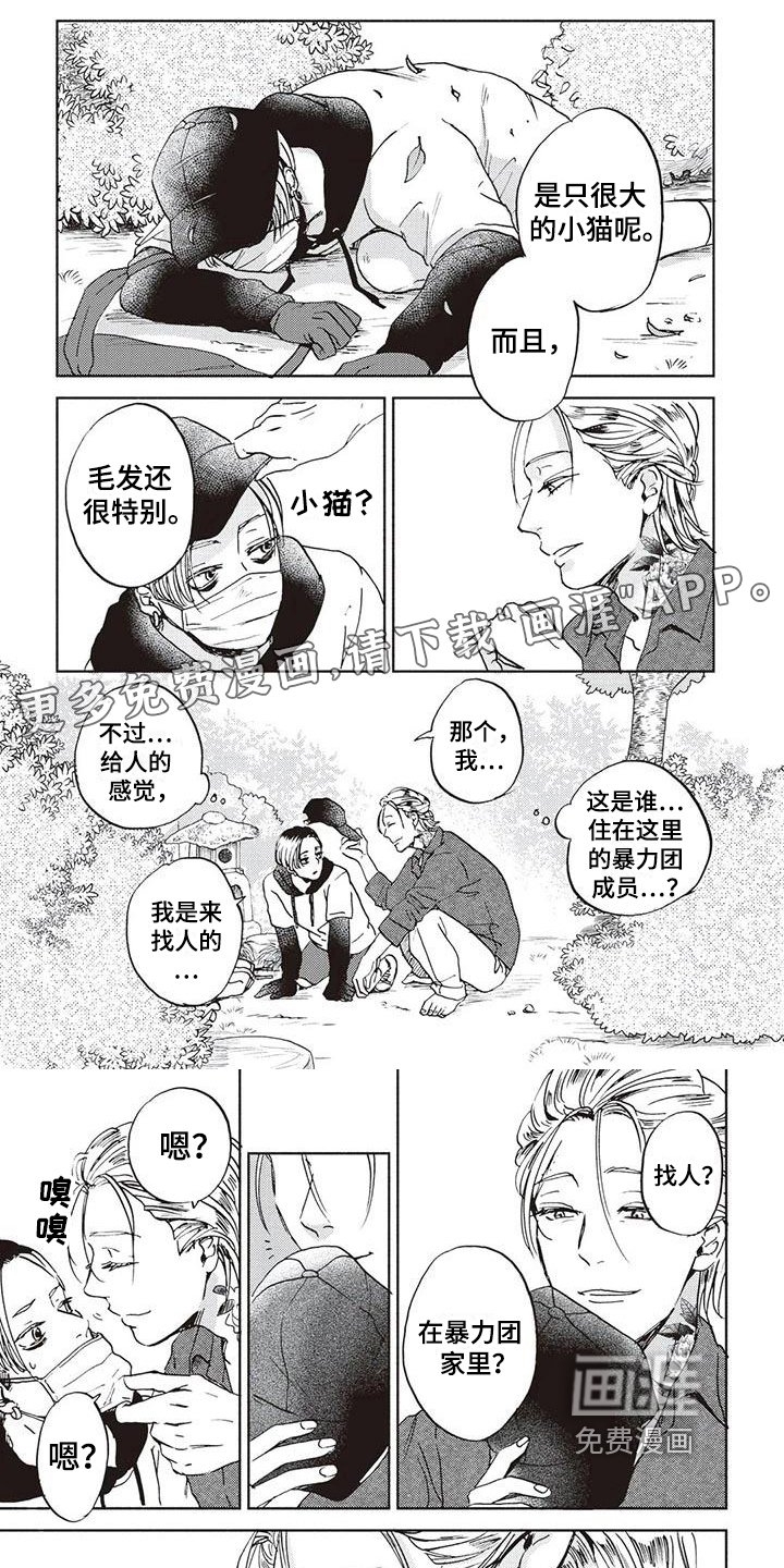 第9章：保护