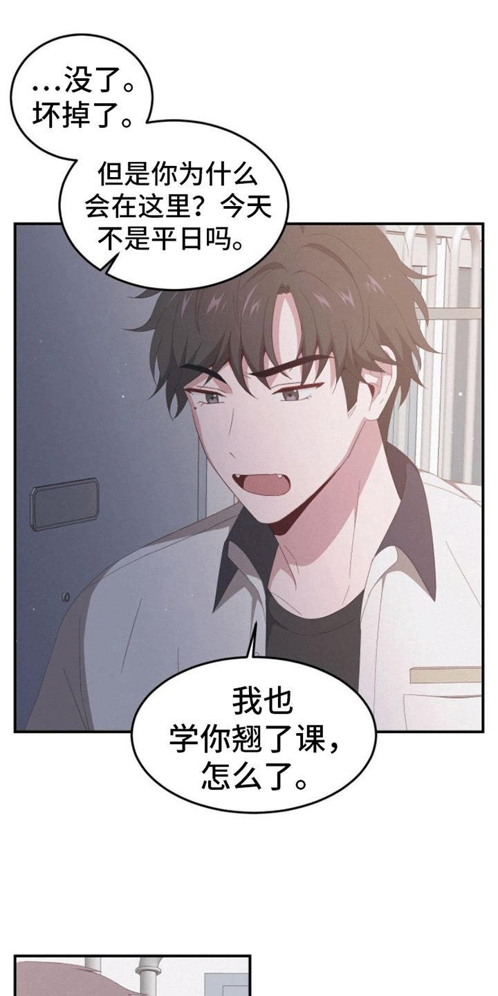 第3章：回家