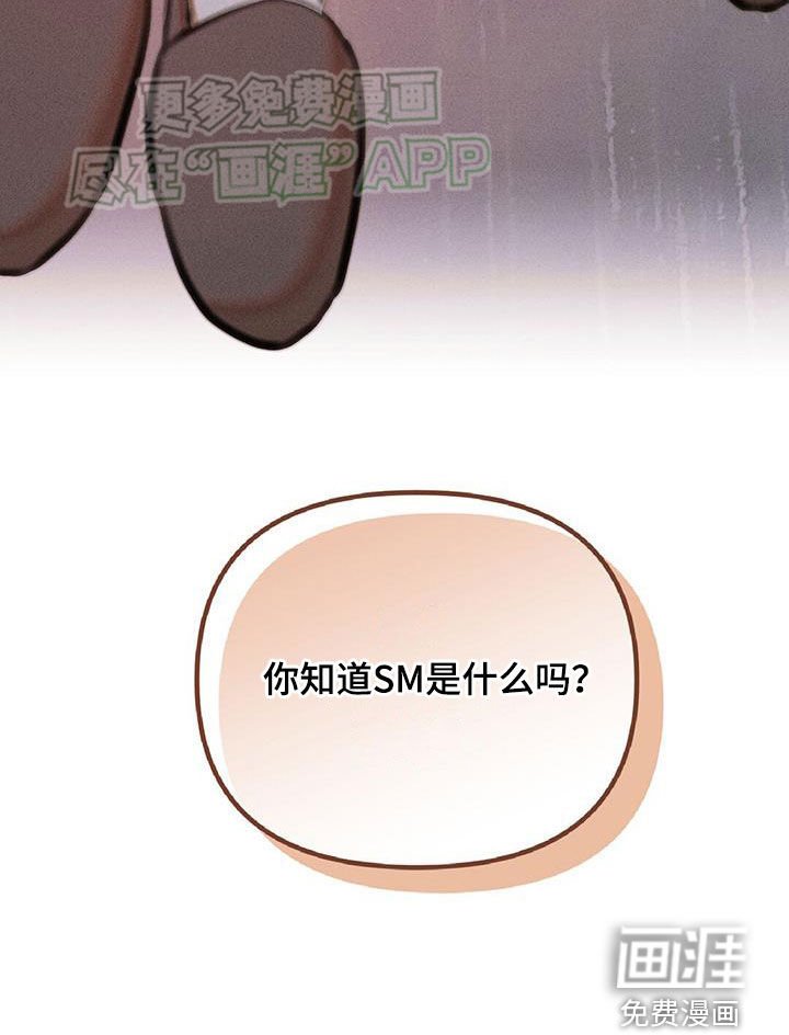 第30章：优缺点