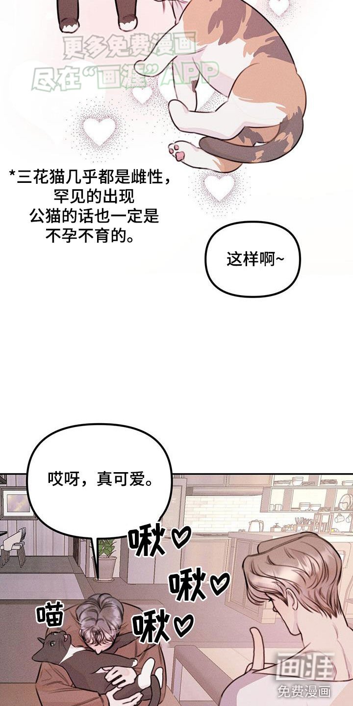 第36章：下药