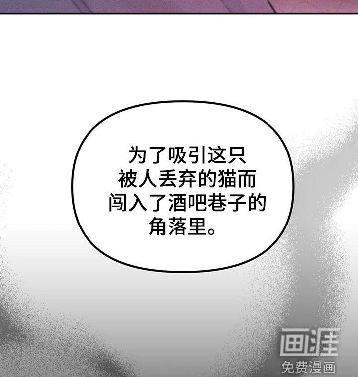 第41章：上钩了