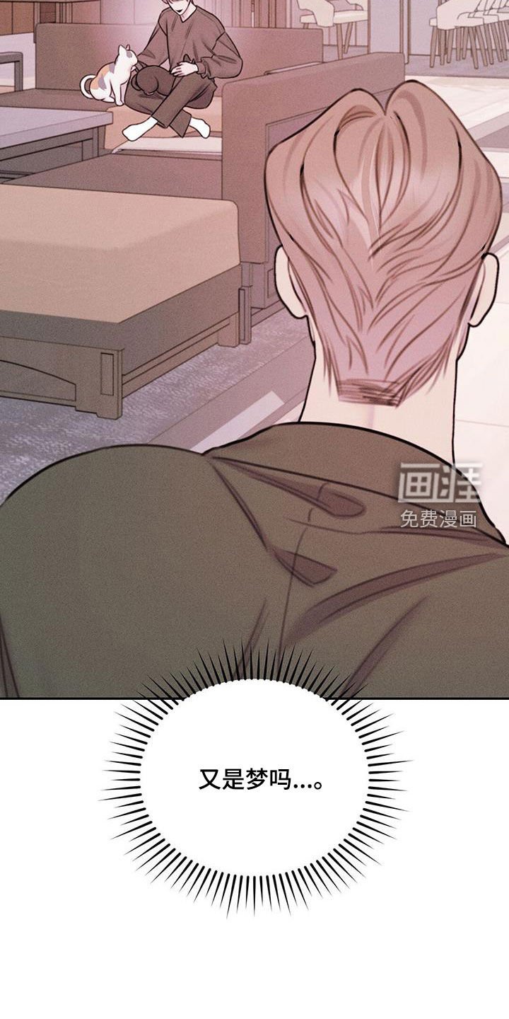 第53章：给我买新的