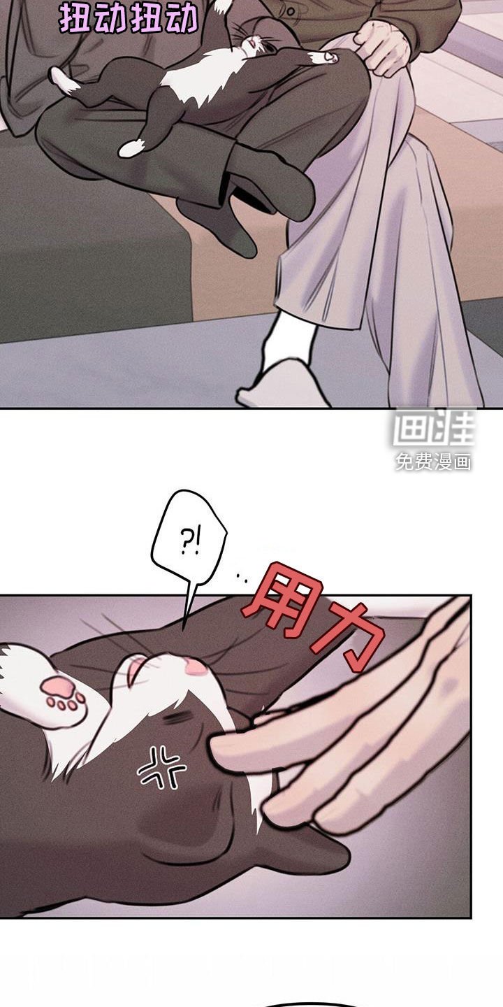 第53章：给我买新的