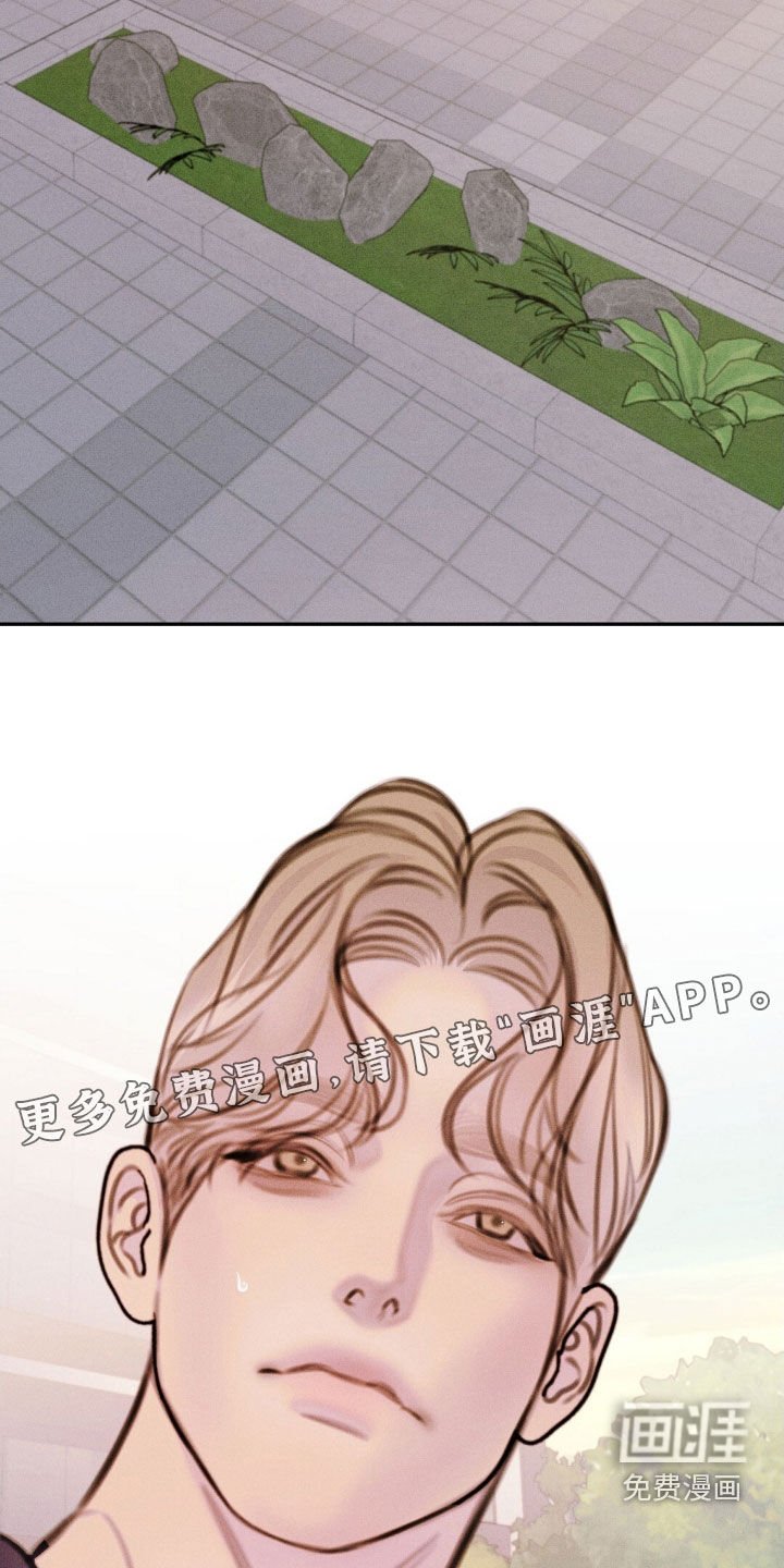 第61章：单独行动