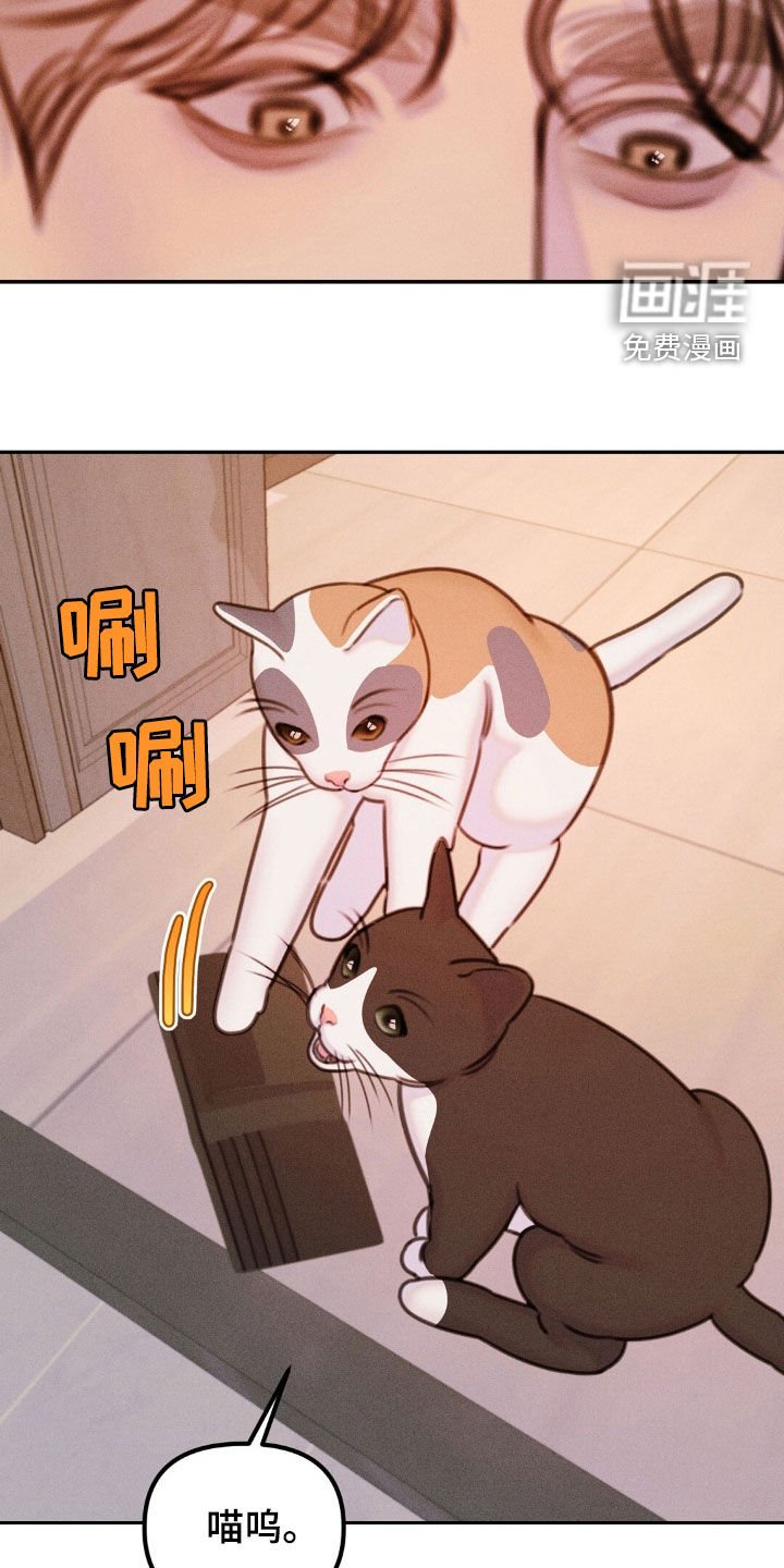 第63章：全部删除