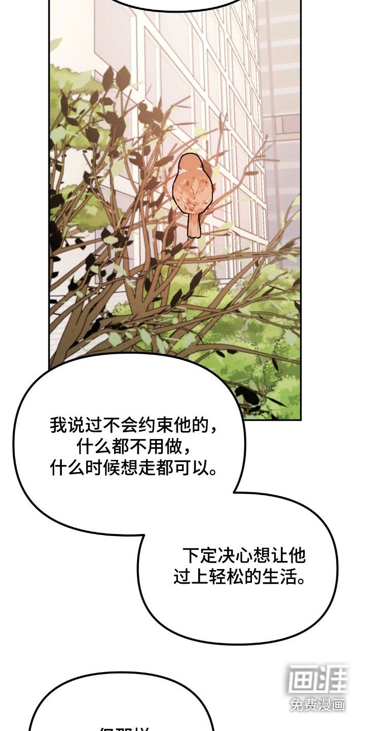 第67章：他会伤心