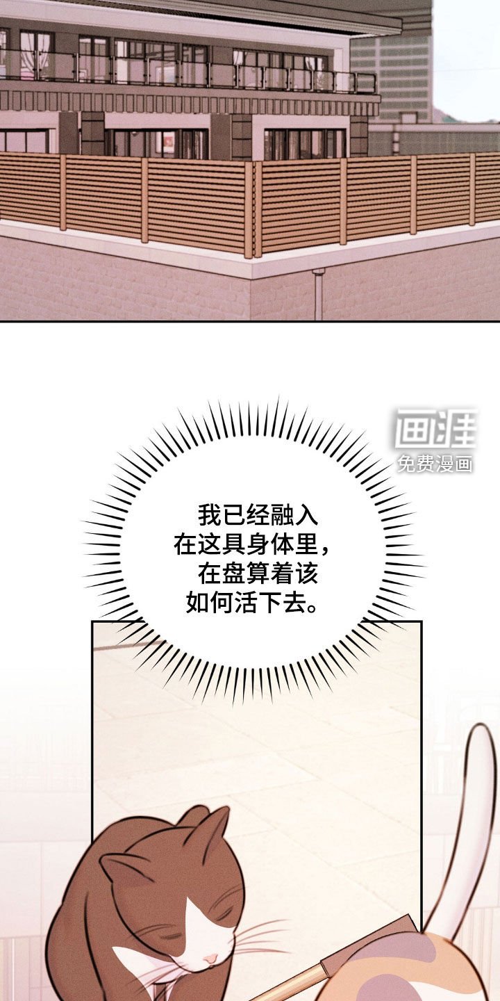 第70章：做选择