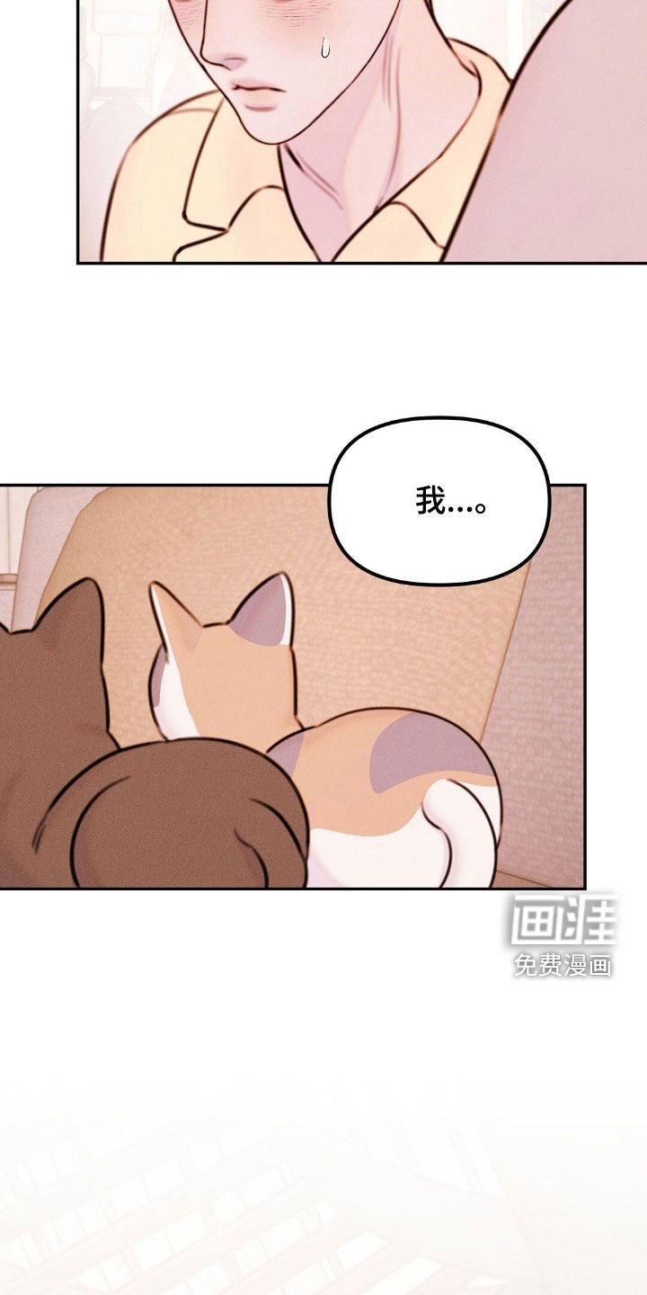 第71章：公平的机会
