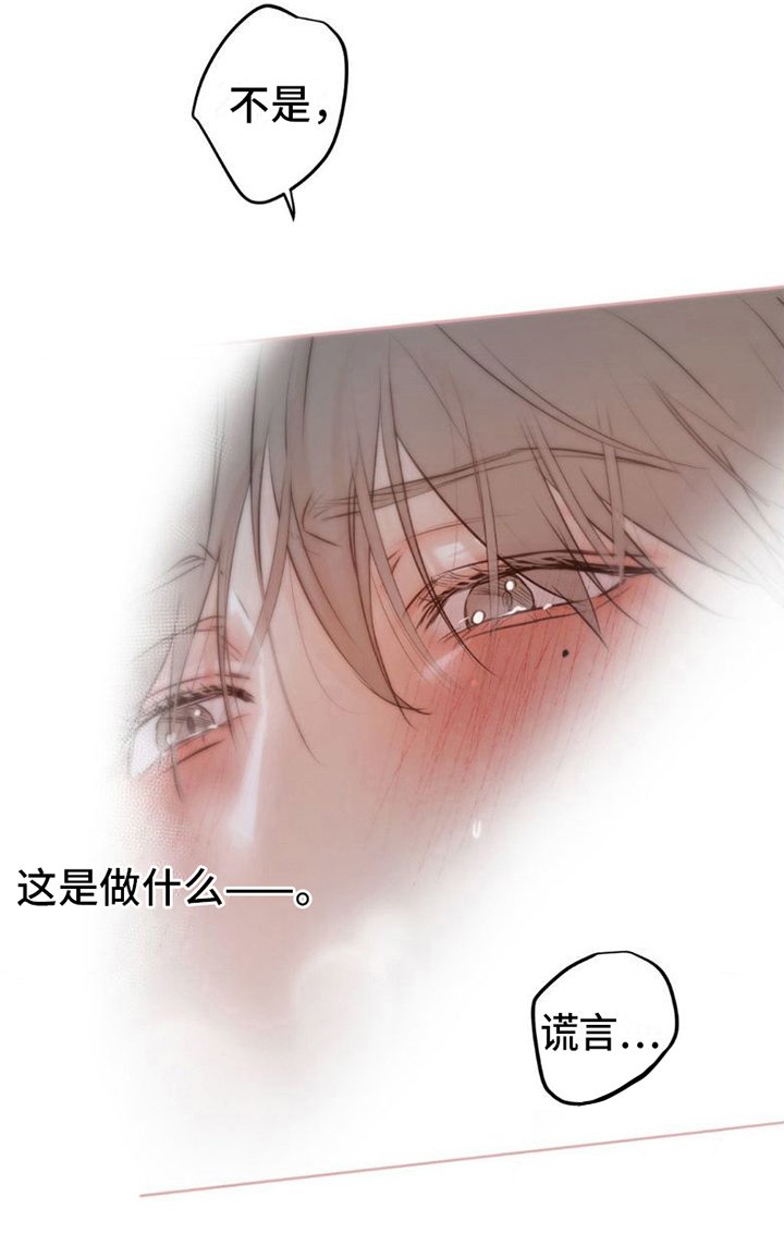 第14章：可爱的谎言