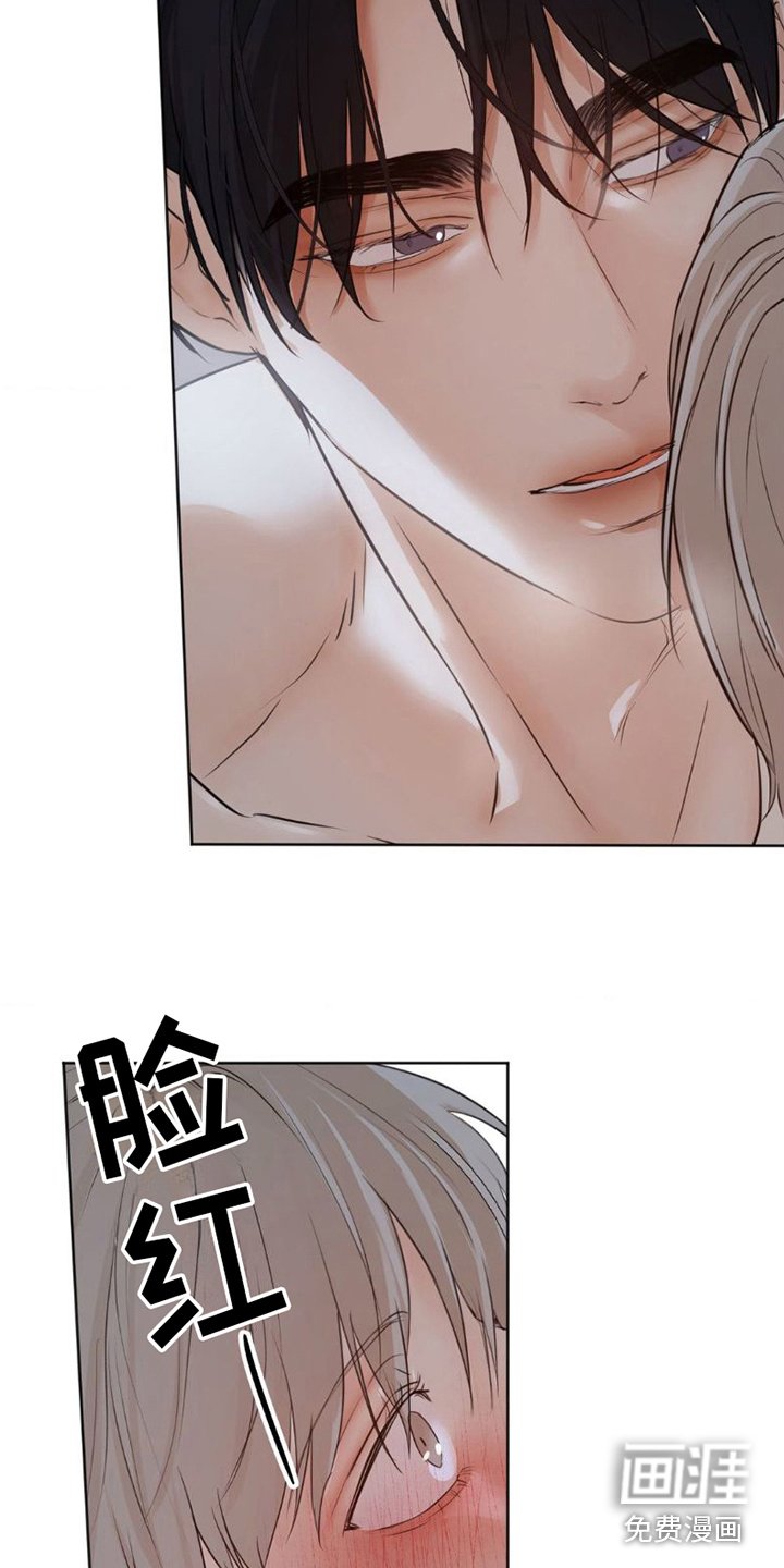第15章：不要这样