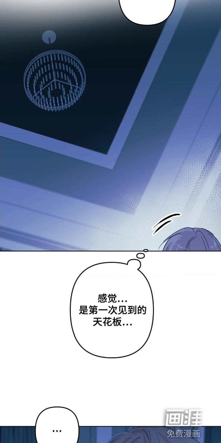 第19章：你不要太担心