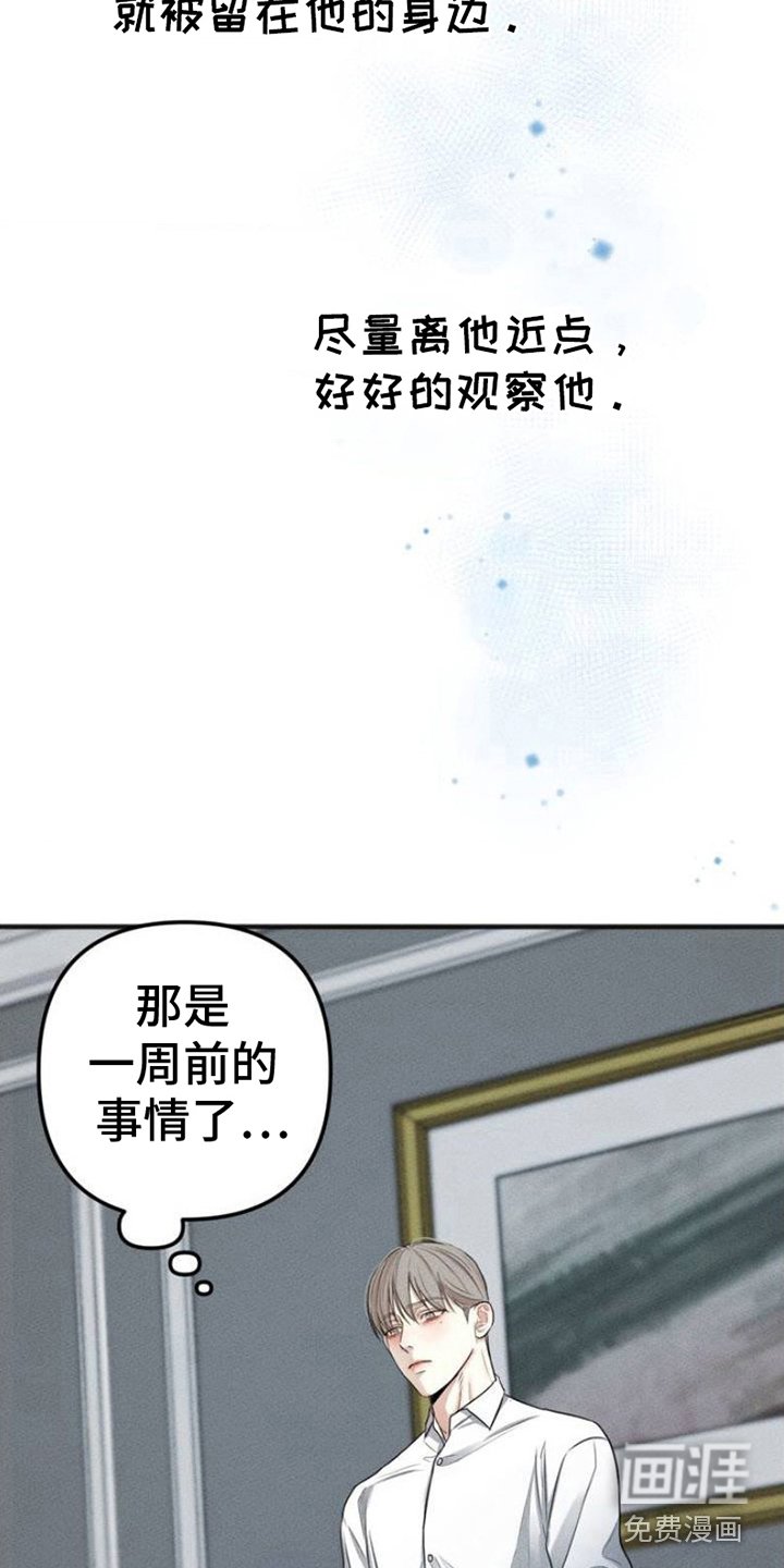第2章：放过