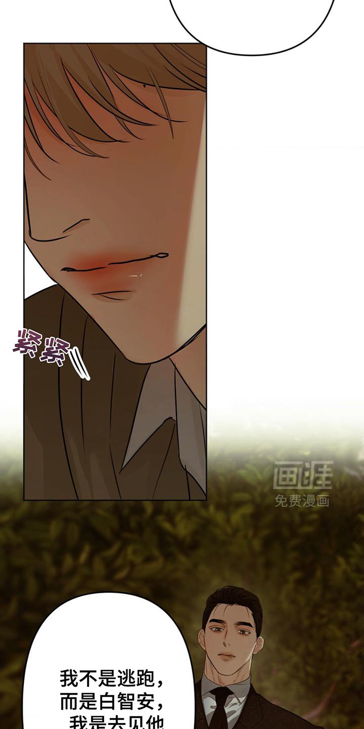 第27章：最愚蠢的选择