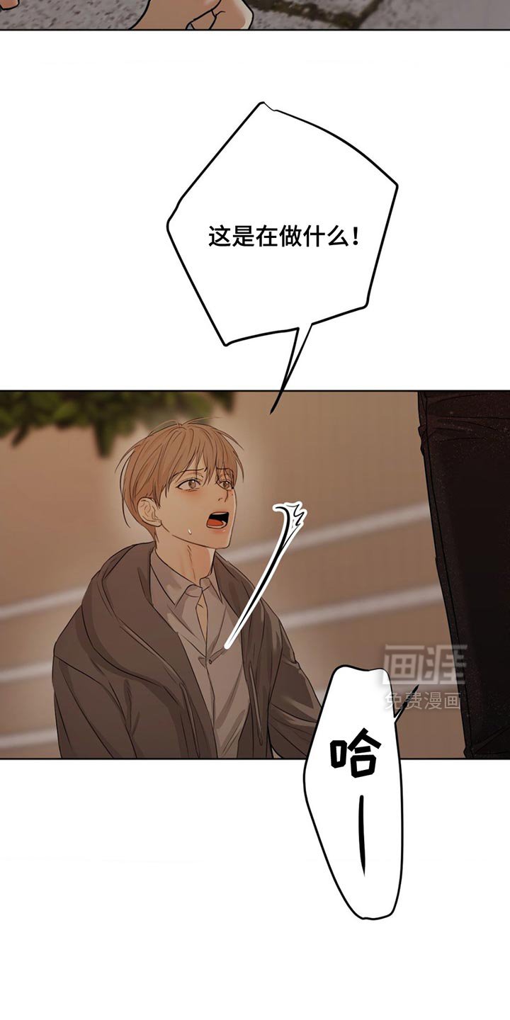 第27章：最愚蠢的选择