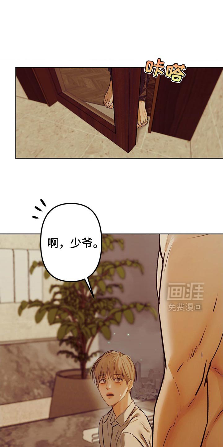第29章：在哪里见过