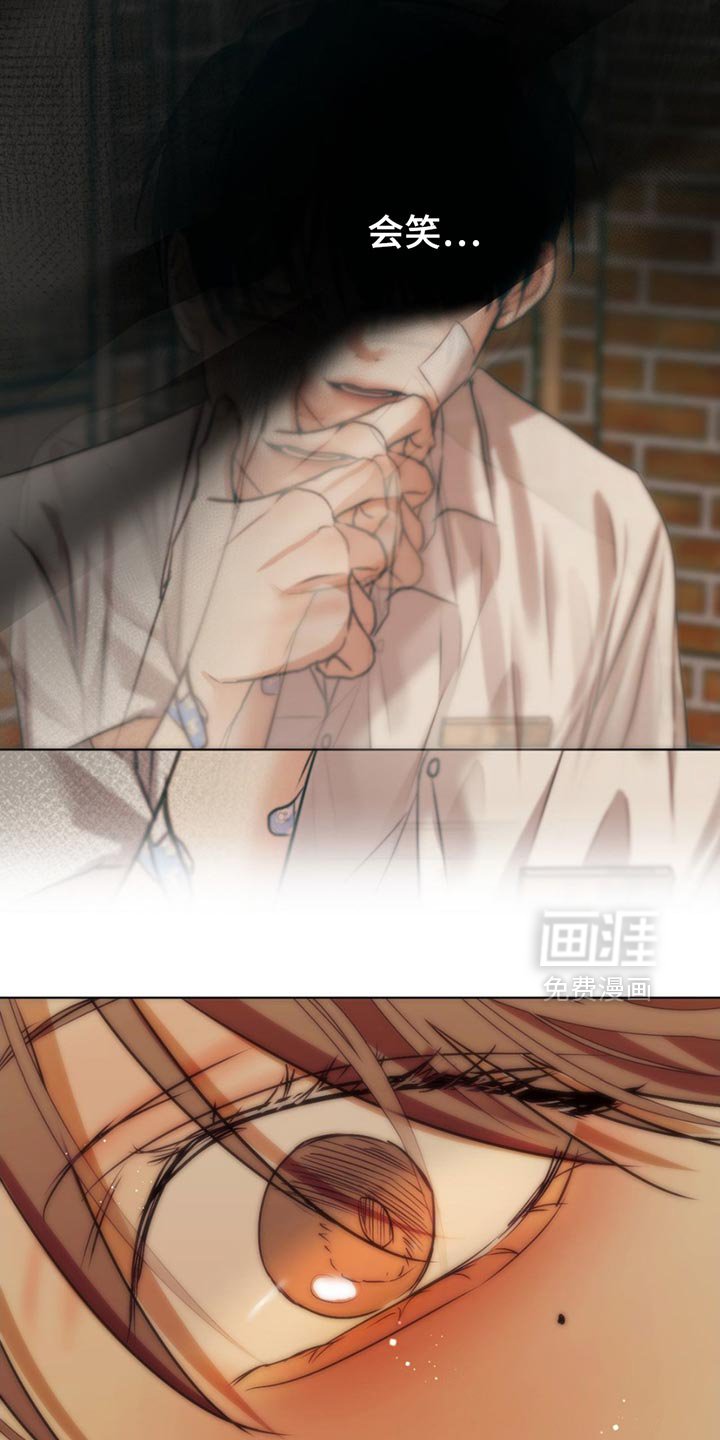第29章：在哪里见过