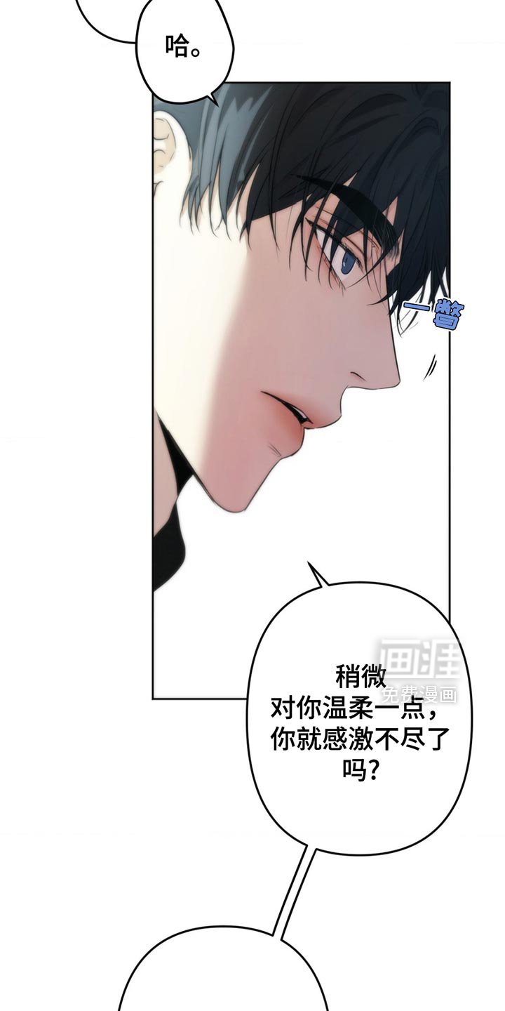 第31章：感激不尽