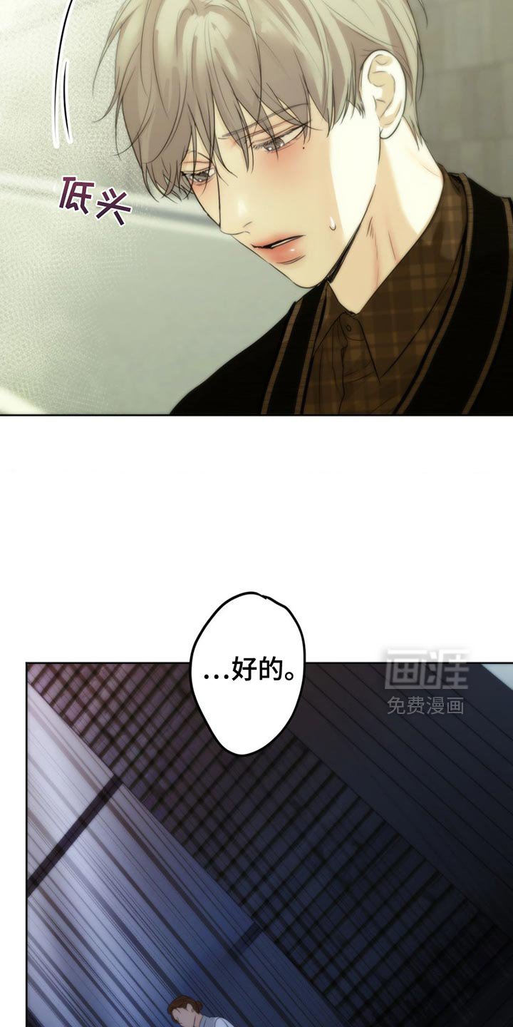 第31章：感激不尽