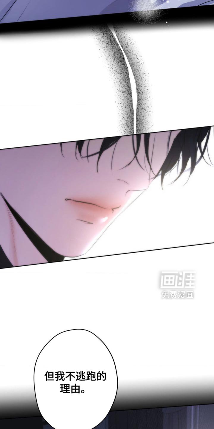 第35章：逃跑吧