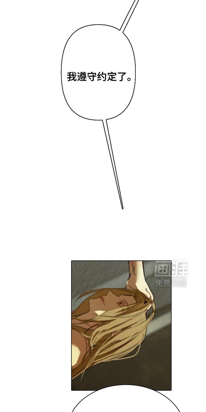 第37章：遵守约定