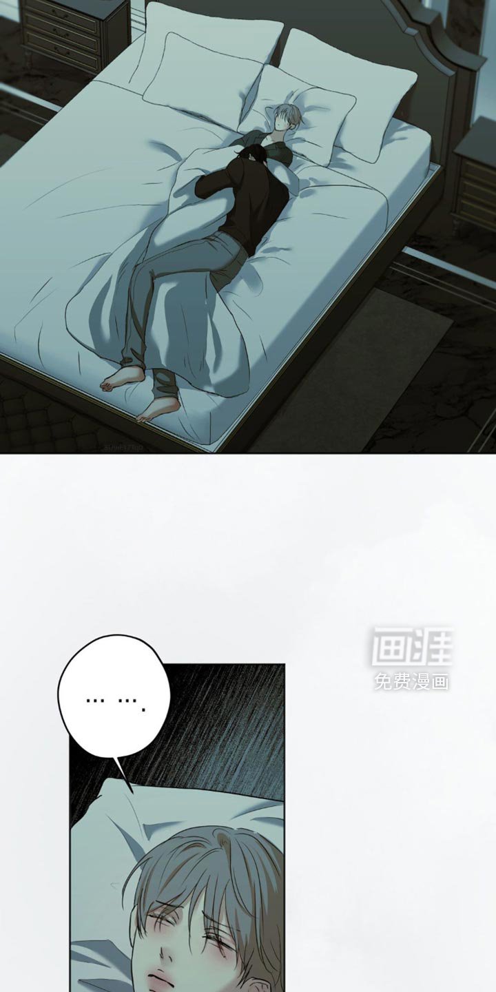 第41章：这是我做的