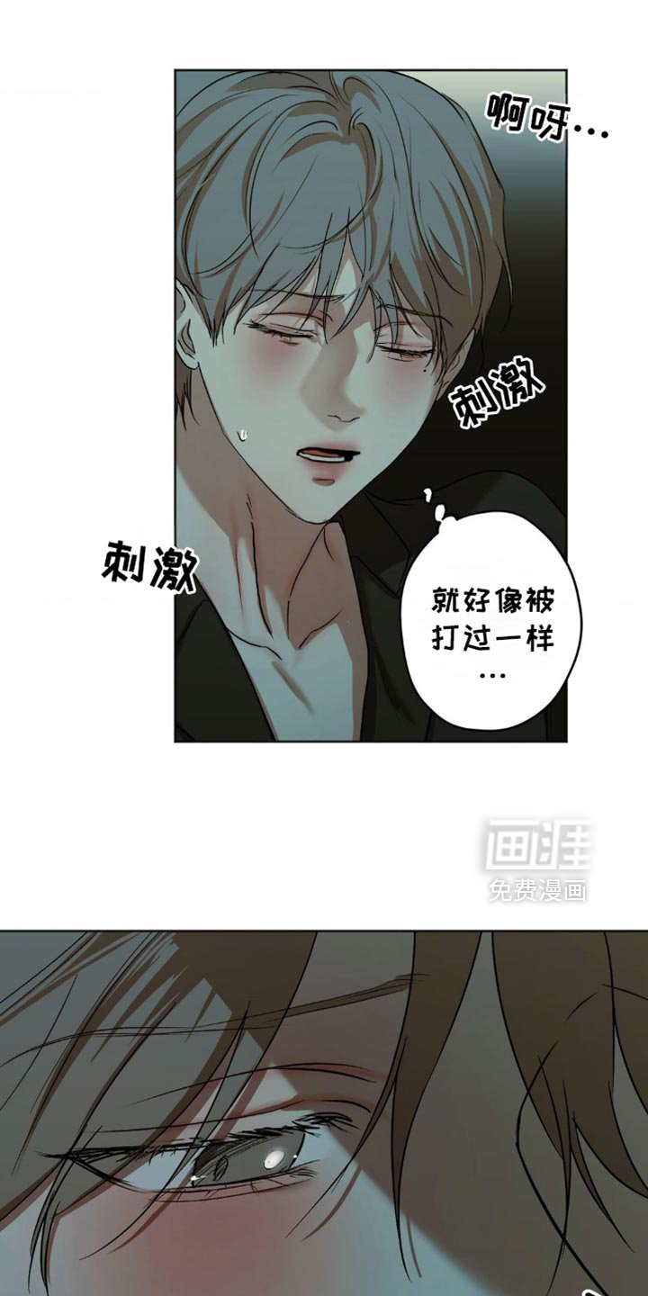 第41章：这是我做的