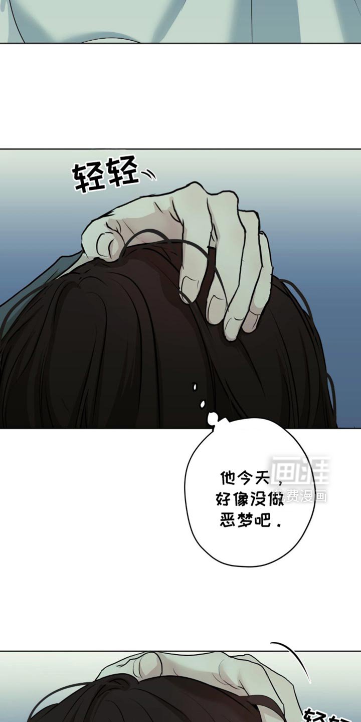 第41章：这是我做的
